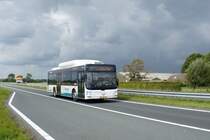 Niederlande / Bus Zeeland: MAN Lion's City CNG (Wagen 2960) von Connexxion (Transdev Niederlande), aufgenommen im August 2023 in der Nähe von Biervliet, einer Stadt in der niederländischen Gemeinde Terneuzen.