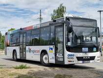 MAN Lion's City LE Ü der MVVG in Neubrandenburg am 22.05.2022