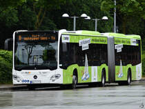 Anfang Juni 2024 konnte ich diesen Mercedes-Benz Citaro in Flensburg ablichten.