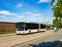 Graz. Für drei Wochen, von Mitte Juni bis Mitte Juli 2024, wird die Straßenbahnlinie 4 im Schienenersatzverkehr geführt. Aufgrund von akutem Kapazitätsmangel, verkehrt am Schienenersatz die Firma Dr. Richard mit drei gebrauchten Gelenkbussen aus Wien, die extra nach Graz überstellt wurden.

Der Dr. Richard Wagen 1701 ist hier als E4 in Richtung Liebenau, bei der Haltestelle Jauerburggasse zu sehen.