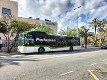 Castrosua Magnus H LE 13 Hybrid, Avanza Elche, Wagen 306, wartet als Linie R7 an der Endhaltestelle Hospital General in Elche am 27.01.2025