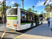 Castrosua Magnus H LE 13 Hybrid, Avanza Elche, Wagen 314, bedient die Haltestelle Escorxador in Elche als Linie R7 am 30.01.2025