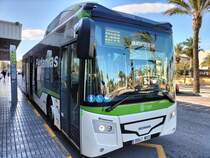 Castrosua Magnus H LE 13 Hybrid, Avanza Elche, Wagen 303, wartet als Linie R11 am Busbahnhof in Elche am 30.01.2025. Nach einem Monat Betrieb hat die Linie R11 über 36.000 Fahrgäste befördert, und ist damit ein Riesenerfolg.