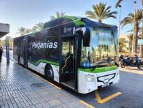 Castrosua Magnus H LE 13 Hybrid (Scania K360H), Avanza Elche, Wagen 312, wartet als Linie R12 am Busbahnhof in Elche am 11.02.2025