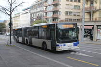 tl Nr. 664 (MAN A40 Lion's City GL) am 24.11.2024 in Lausanne, Mirabeau unterwegs als Fahrschule