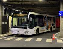 tpf - Mercedes Citaro Nr.1002 bei den Haltestellen unter dem SBB Bahnhof in Freiburg am 25.03.2025