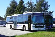 Scania Citywide  Scherer , Panzweiler/Cochem April 2025