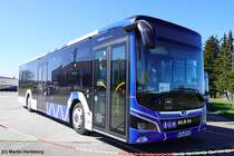 MAN Lion's City 12  Scherer , Panzweiler/Cochem April 2025