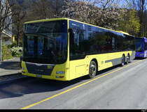 STI - MAN Lion`s City  Nr.159  BE  752159 in der Pause in Thun am 07.04.2025