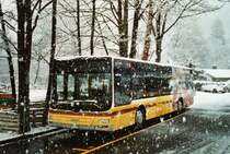 Starker Schneefall in Thun: STI Thun Nr. 113/BE 700'113 MAN am 9. M�rz 2009 Thun, Schiffl�ndte