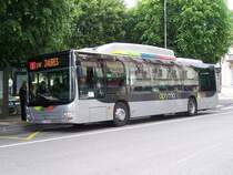 Hier der Lion's City n� 05 am 23/05/08.