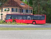Linie 431 von Frstenwalde nach Wendisch-Rietz Aufgenommen in Bad Saarow am 22.4.09
