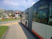 In der Schweiz gibts nicht nur Khe, sondern auch Busse :-) BSU Citaro Nr.49 eingeteilt auf der Linie 1 wird am 22.04.09 in Recherswil von einer Herde Khen bestaunt...
