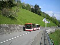Der funknagelneue CitaroII G Nr. 31 am 23.4.09 in Gersau, Rotschuo, unterwegs auf der Riviera-Linie in Richtung K�ssnacht