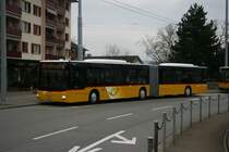 PostAuto Zrich / PU Stutz, Jonen, Nr. 244 (AG 25'544, MAN Lion's City A23, 2009) am 30.3.2009 in Zrich, Triemli. 