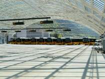 Postauto - Postautoparade mit 10 Postautos bei den Postautohaltestellen �ber dem Bahnhof von Chur am 07.05.2009