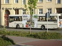 HWI-CM 7 Am ZOb 04.06.2008