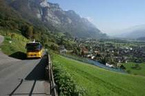 Der MAN/Lauber SG 156'966 von PU Heim, Flums, unterwegs am 8.10.2007 oberhalb Walenstadt in Richtung Walenstadtberg/Knoblisbhl. 