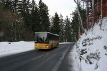 PU Heim, Flums, SG 122'536 (Setra 313UL, 2002) am 3.1.2007 zwischen Bergheim und Tannenboden (Flumserberg). 