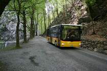 PU Gessinger, Bad Ragaz, SG 8'757 (MAN Lion's City A76, 2007) am 30.4.2008 in der Taminaschlucht unterwegs vom alten Bad Pf�fers zur�ck nach Bad Ragaz. 