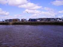 Mehrer Busse verschiedener Unternehmen stehen in Schlttsiel am Fhranleger. 17.05.07