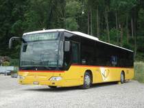 MB Citaro BE 343878 von PU Steiner Ortschwaben am Musikfest in Bren an der Aare