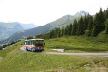 Wenig unterhalb der Passh�he der Grossen Scheidegg f�hrt GrindelwaldBus Nr 19 (Vetter 10SH, 1995) am 30.6.2007 bergw�rts. 