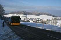 Erst wenige Tage alt war am 17.11.2007 der ZH 21'005 von PU Steiger, Schlatt - Einer der ersten Citaro II von PostAuto Schweiz. Das Bild zeigt den Wagen auf Bergfahrt von Oberschlatt ins Gyrenbad. 