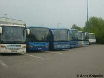 Hamstier Rostock Zob 03.Mai.2009