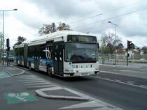 Agora CNG Gelenkbus Nr 2291 am 17/03/08.