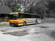 Salzkammergut 2009 - Kleine Farbspielerei mit dem  Steyer  welcher am 03.06.2009 im �BB-Postbus Depot Bad Aussee abgelichtet werden konnte.