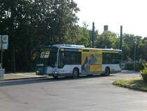 Mercedes-Benz O 530 I (Citaro) auf der Linie 692 nach Nedlitz Wei�er See an der Haltestelle Bornstedt Kirschenallee.