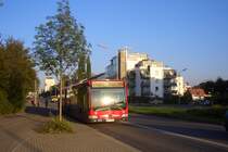 Ich sitze an der Haltestelle  am Friedhof  und sehe die Linie 12 ins Schwaketen mit KN C 1142 ankommen.
06.08.09.