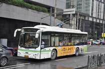Trolleybus der Linie 19 am 28. Juli 2009 in Shanghai.