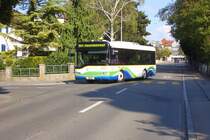 TG 161 787 biegt in die Allestrasse ein, um zum Hauptbahnhof zu fahren. 13.09.09