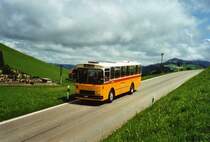 Buzzi, Bern BE 530'697 FBW/R&J (ex Burri, Teuffenthal) am 9. August 2009 Buchen bei Teuffenthal