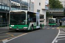 In den letzten drei Jahren haben die TPM einige neue Citaro Facelift �bernommen. Gleich zwei davon, die Nummern 72 und 73, waren am 14.9.2009 hintereinander am Bahnhof Morges unterwegs. Welcher der beiden Busse Versp�tung hatte, weiss ich nicht, jedenfalls m�ssten zu jener Zeit die Kurse der Linien 1 und 2 jeweils rund 10 Minuten Abstand haben...