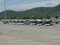 29.09.09,Flughafenbusse von COBUS auf dem Aeropuerto Internacional Es Codolar von Eivissa.