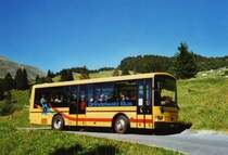 AVG Grindelwald Nr. 15/BE 416'282 Vetter am 23. August 2009 Grindelwald, Lauchb�hl