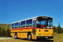 AVG Meiringen Nr. 74/BE 607'481 Saurer/R&J RH (ex P 24'357) am 23. August 2009 unterhalb der Grossen Scheidegg