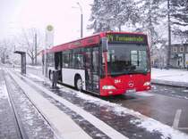 384 - Heide - 24.11.2008