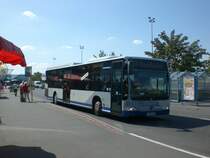 Mercedes-Benz O 530 LE  (Citaro) auf der Linie 663 nach Bahnhof Nauen an der Haltestelle Dallgow-Dberitz Havelpark.