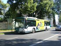 Mercedes-Benz O 530 I (Citaro) auf der Linie 692 nach Nedlitz Weier See an der Haltestelle Reiterweg/Jgerallee.
