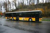 PU Geissmann, Mellingen, Nr. 18 (AG 19'041, Setra 319NF, 2002) am 4.11.2009 in Mellingen Heitersberg.