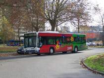 Citaro mit Chrysanthema Lahr 2009 Werbung am 20/11/09.
