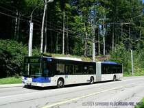 Neoplan Centorliner unterhalb von croix blanche. Vielen Dank an den Fahrer, der massgeblich zum Gelingen des Bildes beigetragen hat!