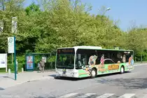 Stempfl hat 2008 einen Citaro Stadtbus Bekommen dieser Hier mit Werbung f�r Globus seht am Ingolst�dter Klinikum.
