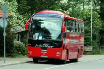 Ein `L�we&acute; am 28.06.09 in Triberg/Schwarzwald