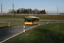 PU Schwizer, Goldach, SG 80'491 (MAN N�313/A20, 2004) am 3.1.2010 unterwegs zwischen Goldach und Untereggen.