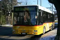 PU PAUT, L�tisburg, SG 143'882 (MAN/G�ppel 12.220HOCL/A76, 2004) am 3.1.2010 in Flawil.